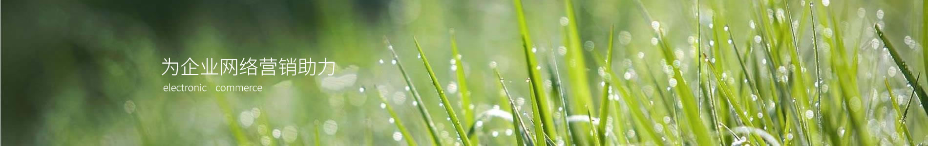 ֣ݿӰ޹˾